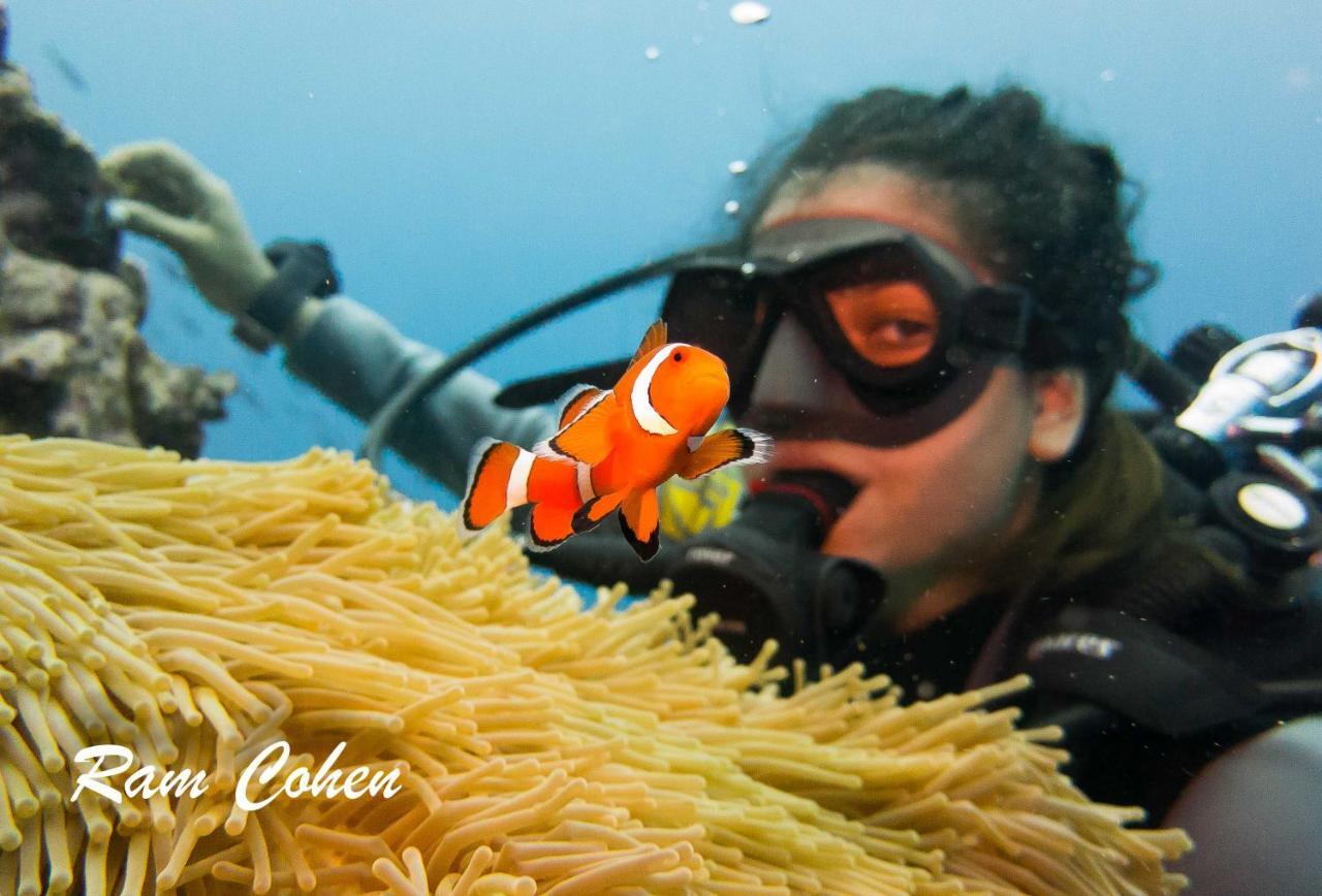 Lavanya Beach And Dive Resort Zamboanguita  Zewnętrze zdjęcie